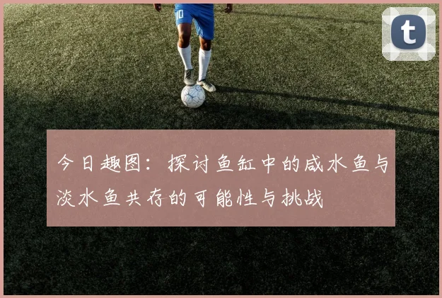 今日趣图：探讨鱼缸中的咸水鱼与淡水鱼共存的可能性与挑战