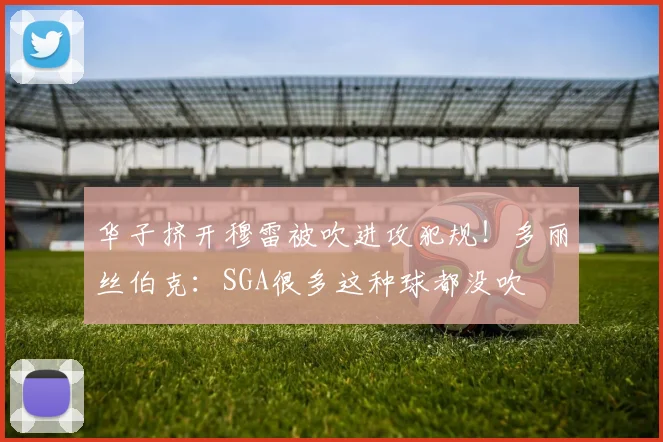 华子挤开穆雷被吹进攻犯规！多丽丝伯克：SGA很多这种球都没吹