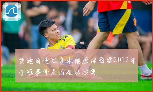 费迪南德坦言未能原谅图雷2012年夺冠事件友谊难以恢复